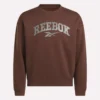 Męska bluza Varsity Męska bluza Varsity