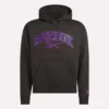 Męska bluza z kapturem Varsity Męska bluza z kapturem Varsity