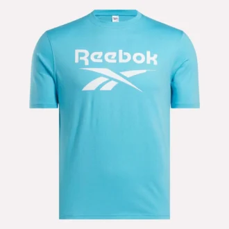 Męska koszulka z krótkim rękawem i dużym logo